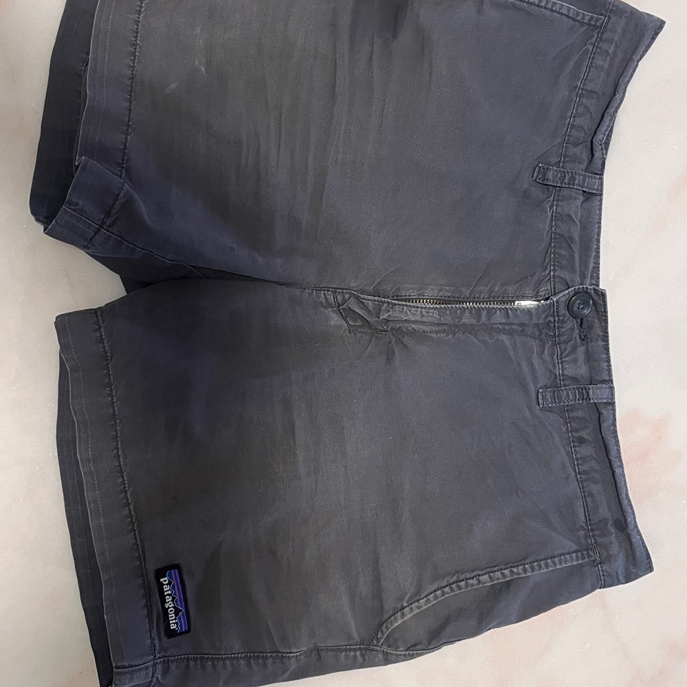 Patagonia Men's Gray Shorts